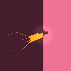 动物的英文词汇汇总,你最喜欢哪种动物?