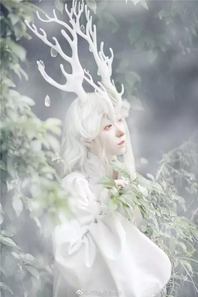 90后女孩拍稀有动物,90后女孩拍视频200万