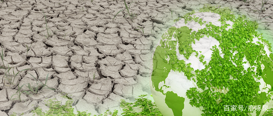 自来水从哪里来最终会流到哪里去,自来水从哪里来到哪里去