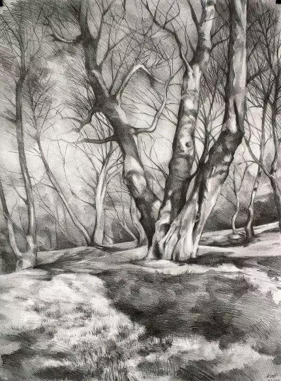 40张经典素描风景图快拿去临摹吧,最好看的素描风景图片