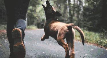 签证涨价,申根签证面签攻略最新