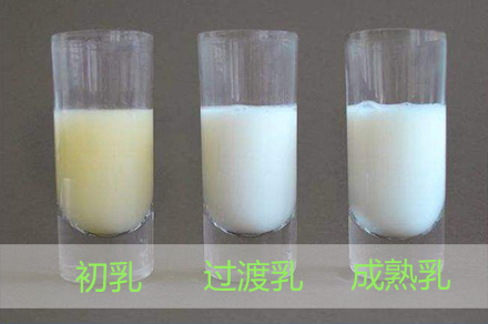 正常母乳是什么颜色?不同颜色的母乳代表什么?