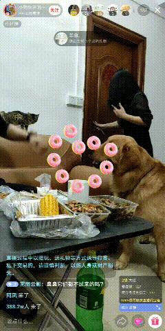 有哪些猫咪在直播,抖音直播出现的猫咪