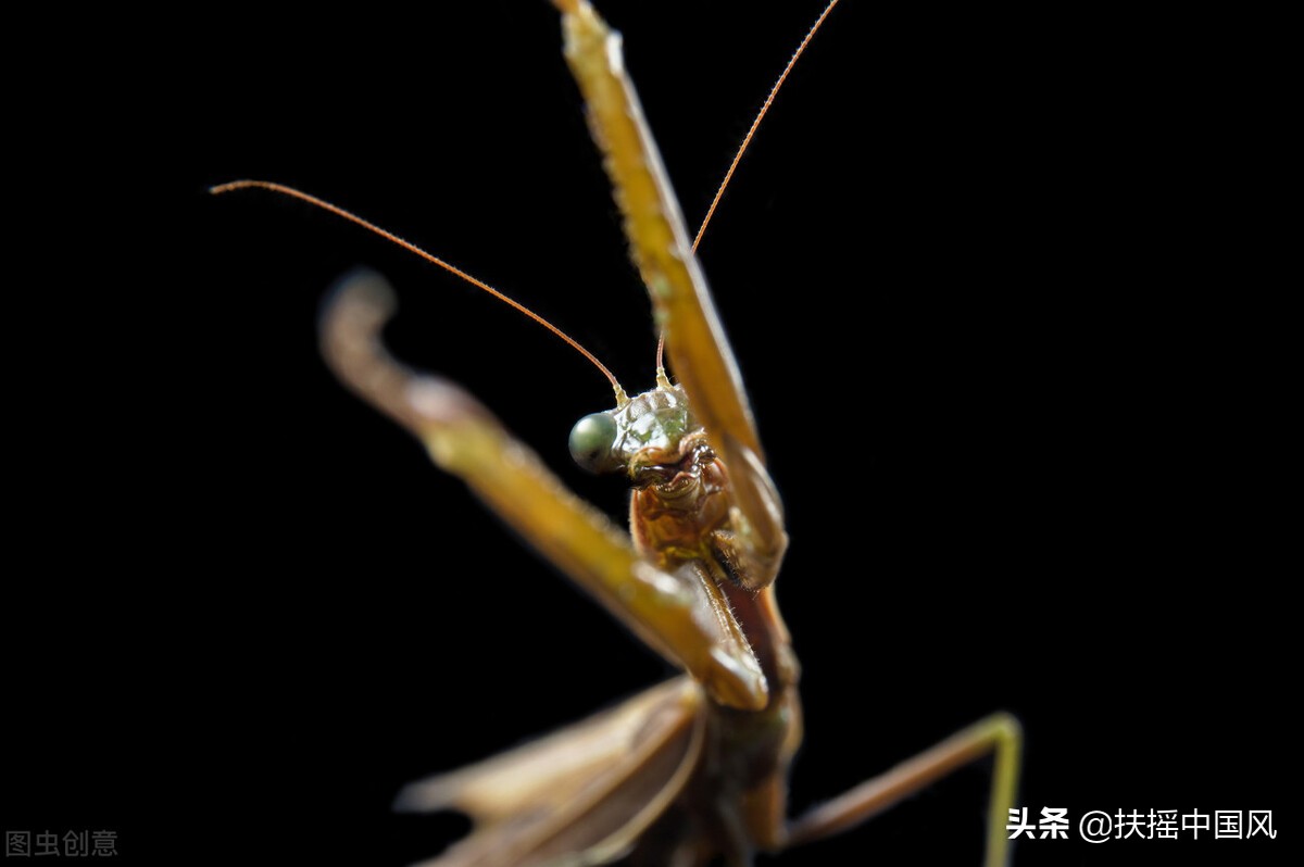 山东海阳旅游视频,游遍中国