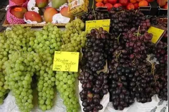 100人民币在德国能买到什么,10000人民币在德国能买什么