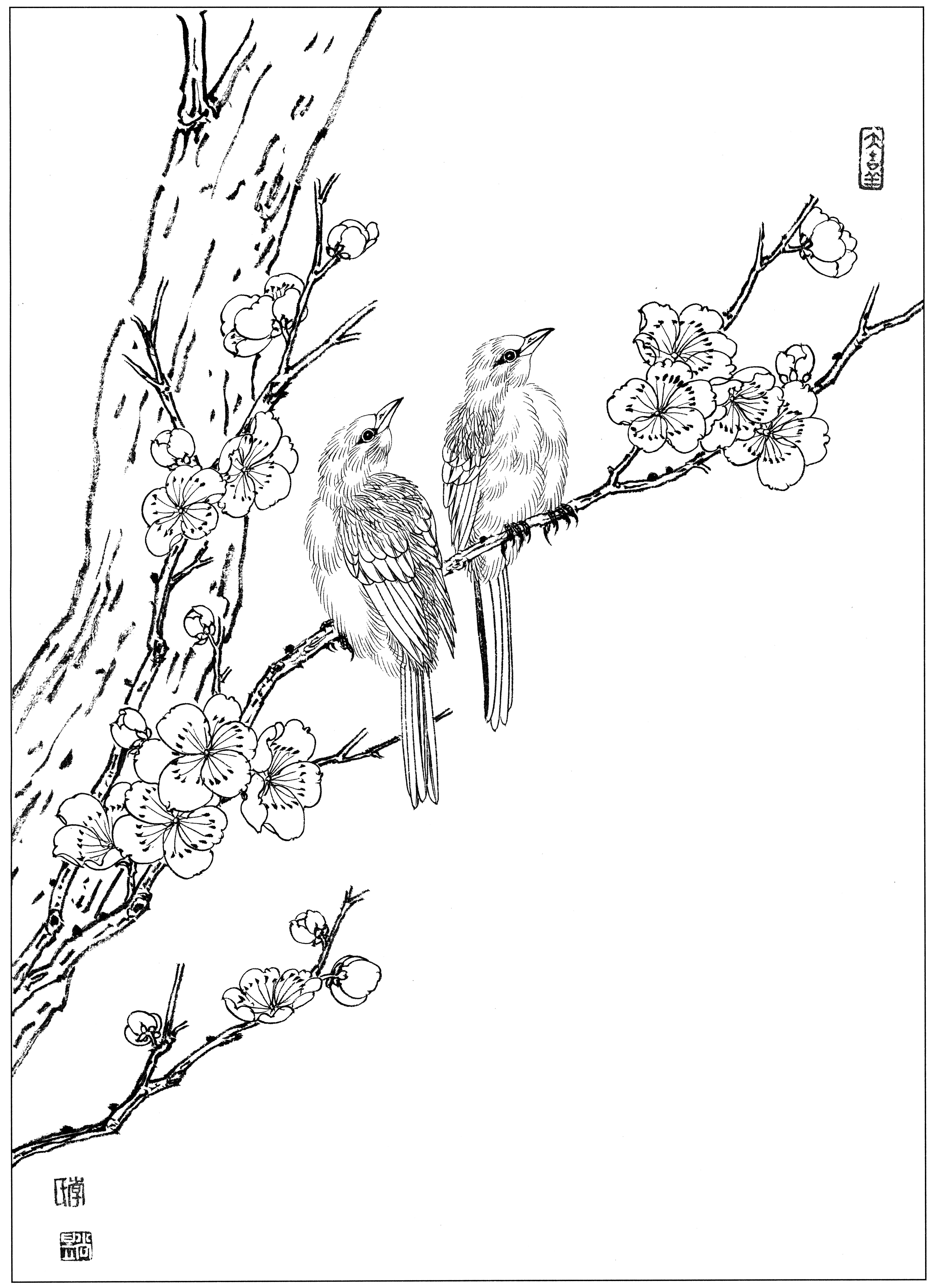 花鸟工笔四条屏白描高清大图,牡丹六尺横幅白描工笔花鸟底稿