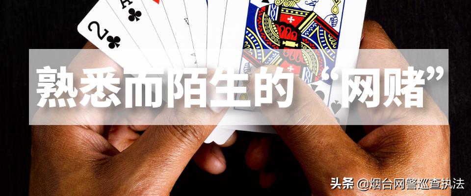 玩家的深渊：网络赌博的不归路