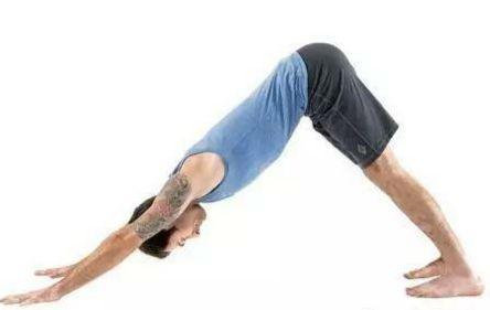 瑜伽缓解手腕压力的体式,练习瑜伽手腕痛怎么办