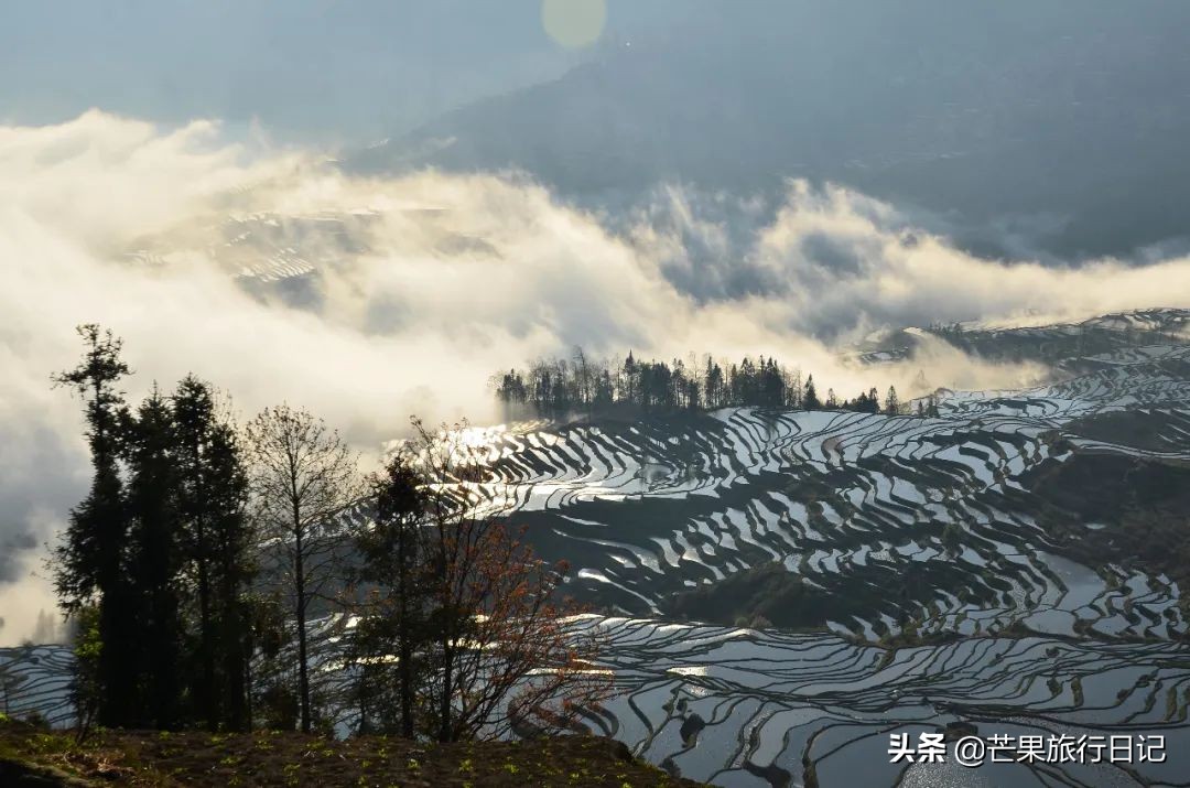 元阳梯田怎么去西双版纳,元阳哪个梯田最值得去