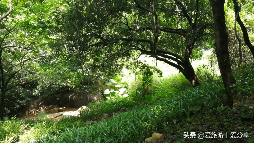 广州附近登山好去处,广州天堂顶徒步登山最佳路线