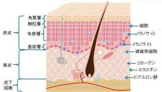 韩国日本法国护肤品哪个最好,日本韩国欧美护肤品怎么选