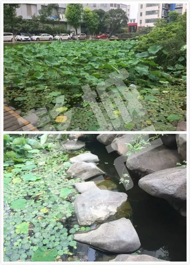 徐州22套特价房,徐州低价楼盘一览表