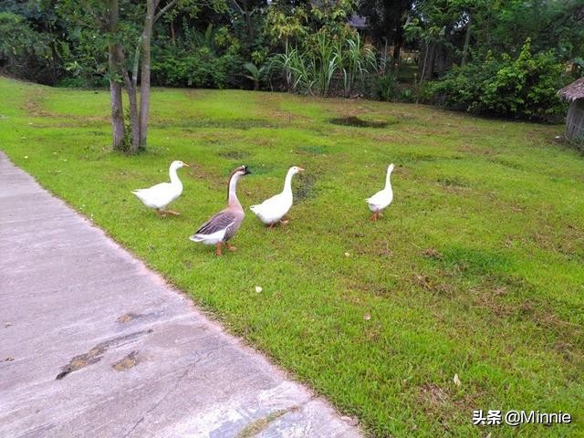 泰国·清迈+拜县游住宿篇