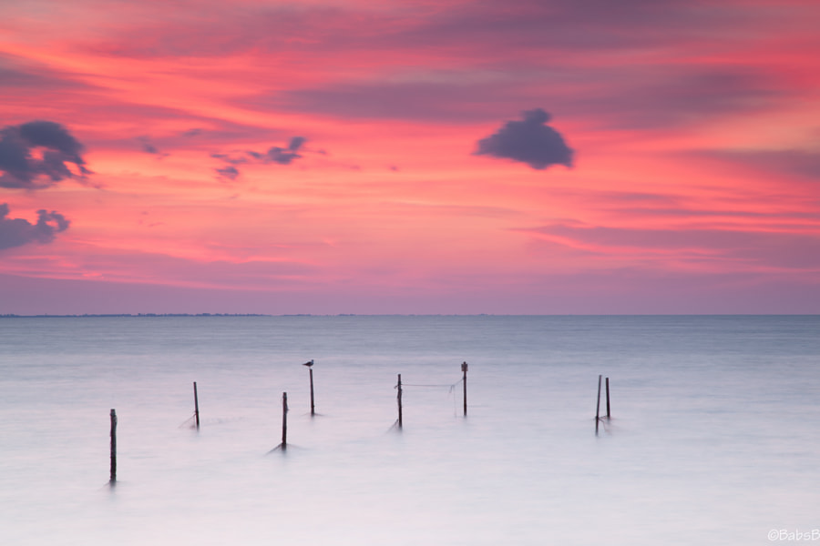 日语时态问题,日语10个时态