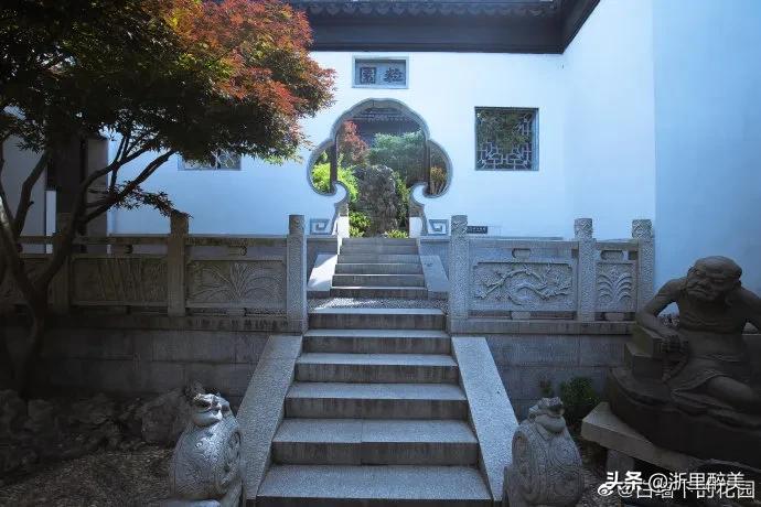 《橘子红了》拍摄地风光正当时！苏州吴中东山美食美景等你来