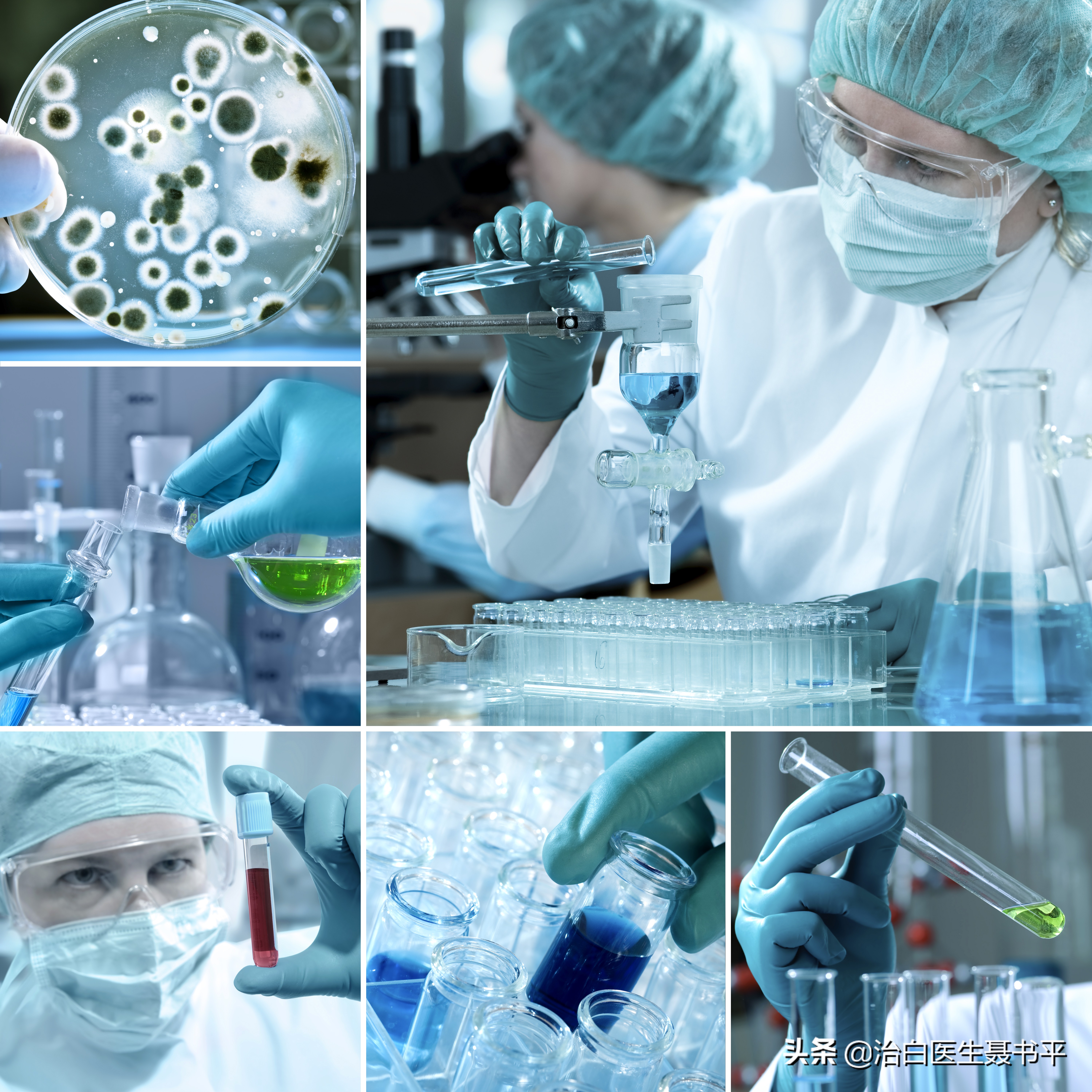 白癜风手术黑色素种植成功率,白癜风黑色素种植和移植区别