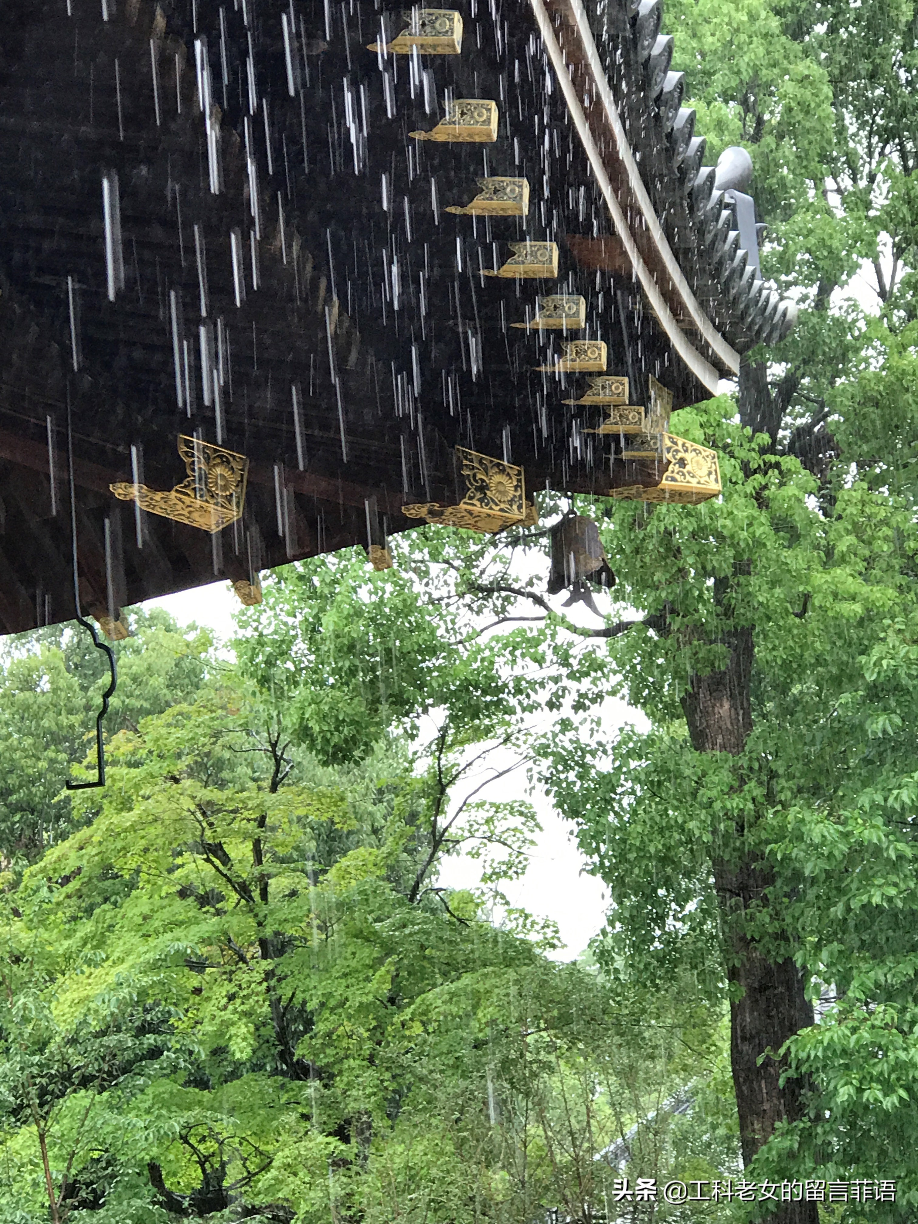 夏天去京都注意哪些事项,盛夏去哪玩