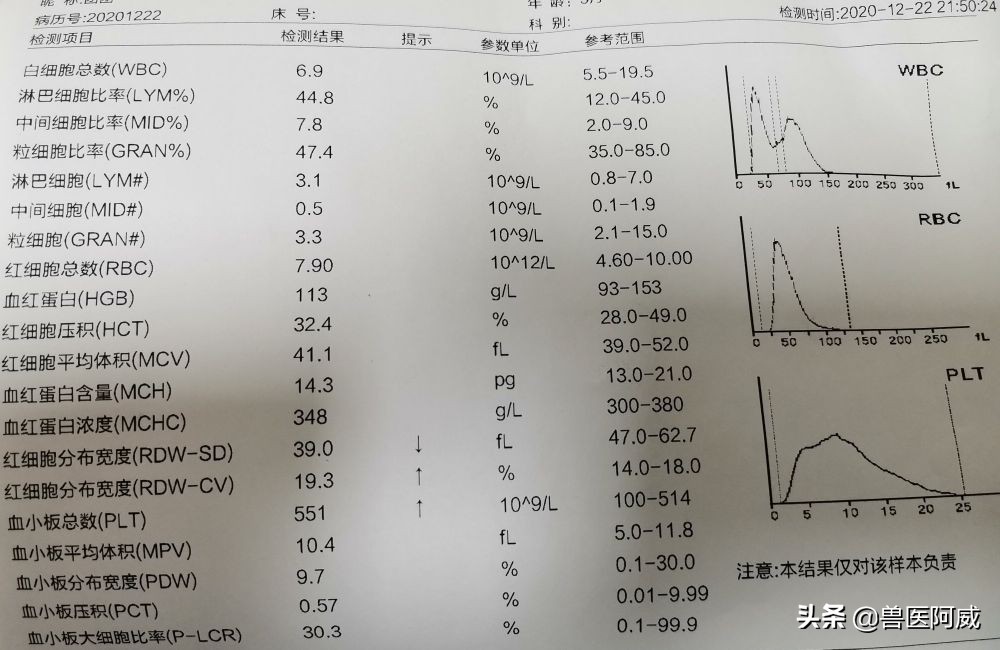犬肺水肿治疗方法,一例犬急性肾衰竭的诊治