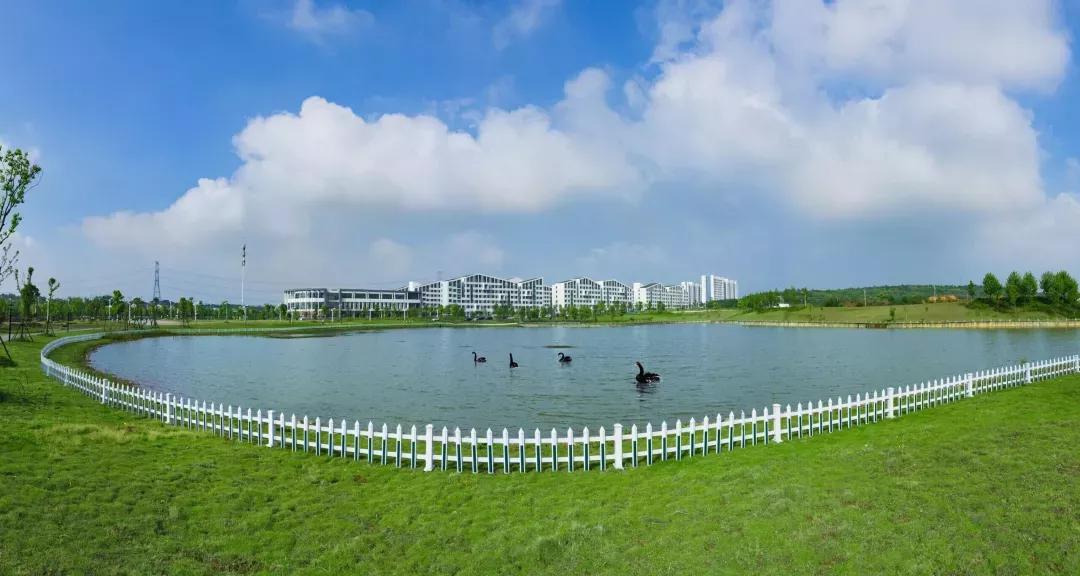 安徽合肥大学二本院校,安徽二本高校