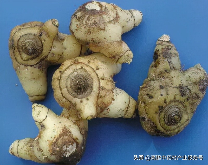 高鹏说药材:白及种植是真致富还是*局骗**呢?