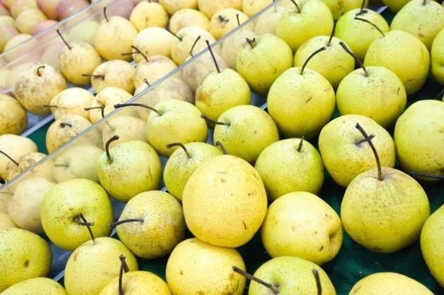 梨黑斑病与梨黑星病的防治措施,梨黑星病锈病最佳防治药剂