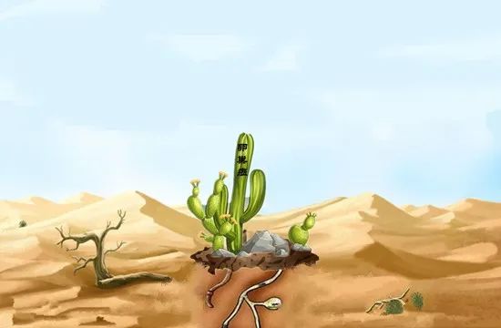 为什么免疫治疗后肿瘤不缩小,为什么免疫治疗不适合胃癌