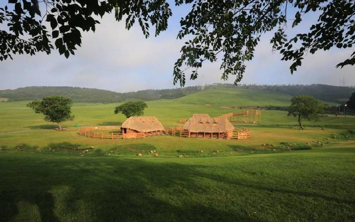 避暑亲子旅游推荐5天游,暑期草原亲子游攻略