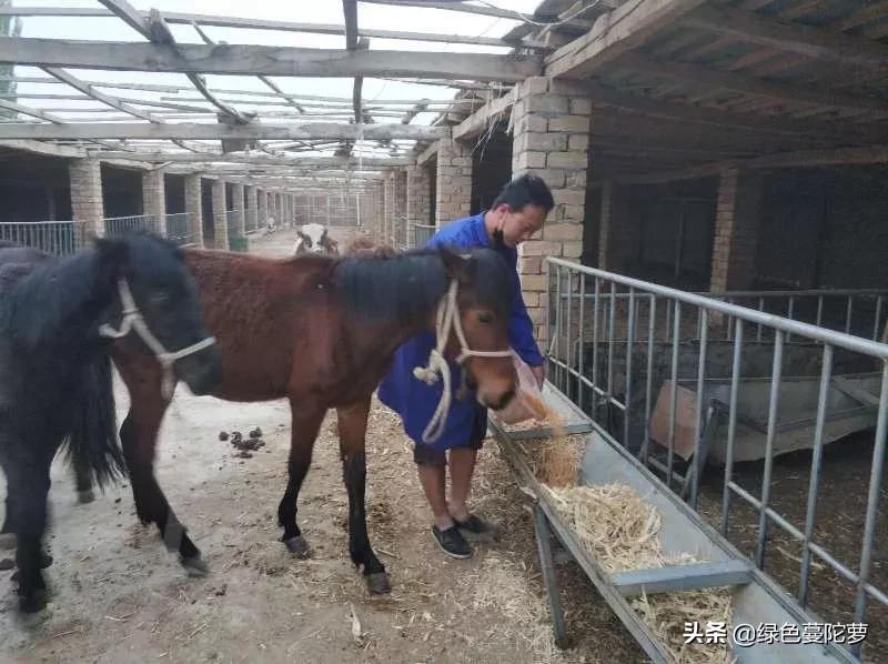 大学生李梦杰的创业记!第一集(原创)