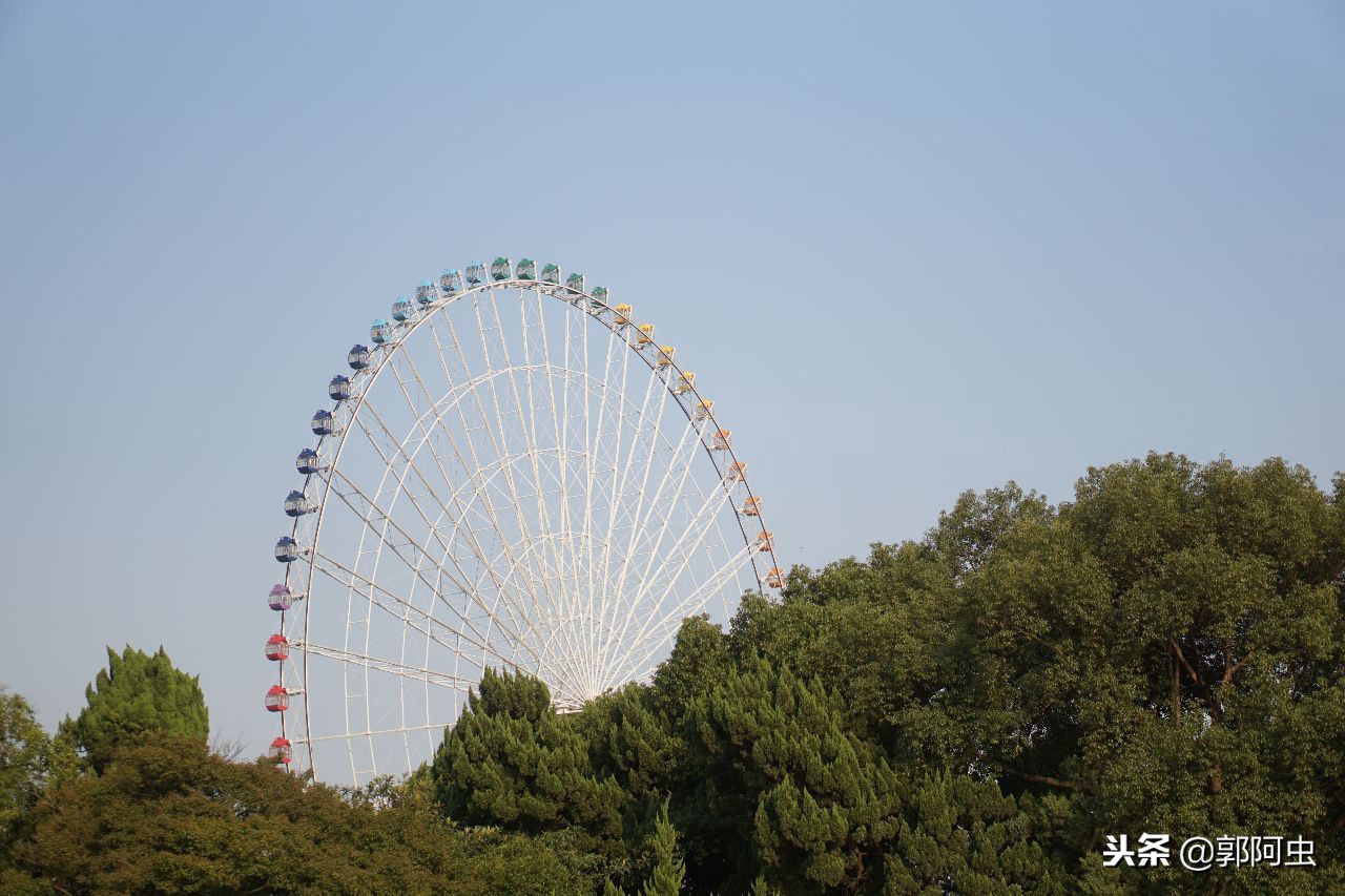 蠡园无锡,无锡蠡园视频