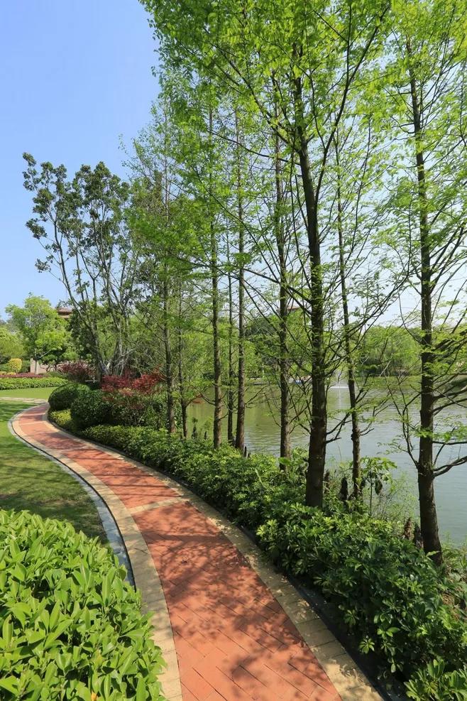 烧结砖与透水砖哪个好,烧结砖与水泥砖