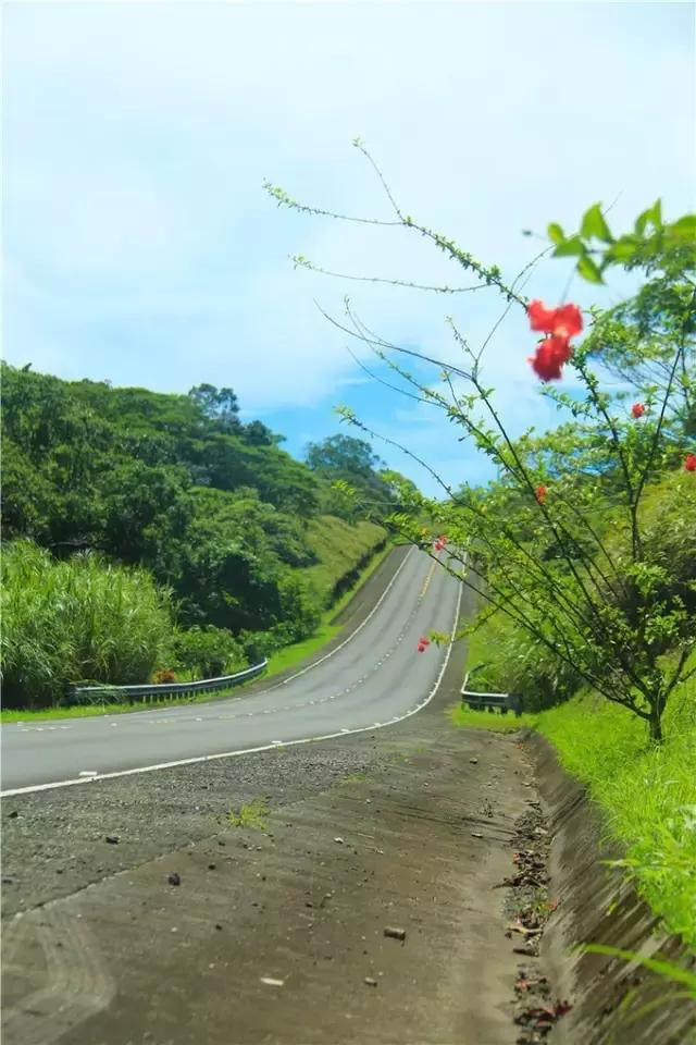 对帕劳之行的感悟,帕劳一场诗和远方的旅行