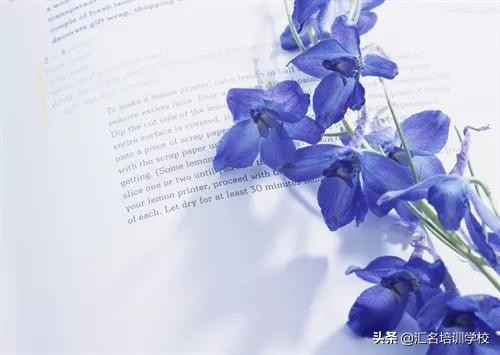 花艺十六种手法,流行花艺简单教学