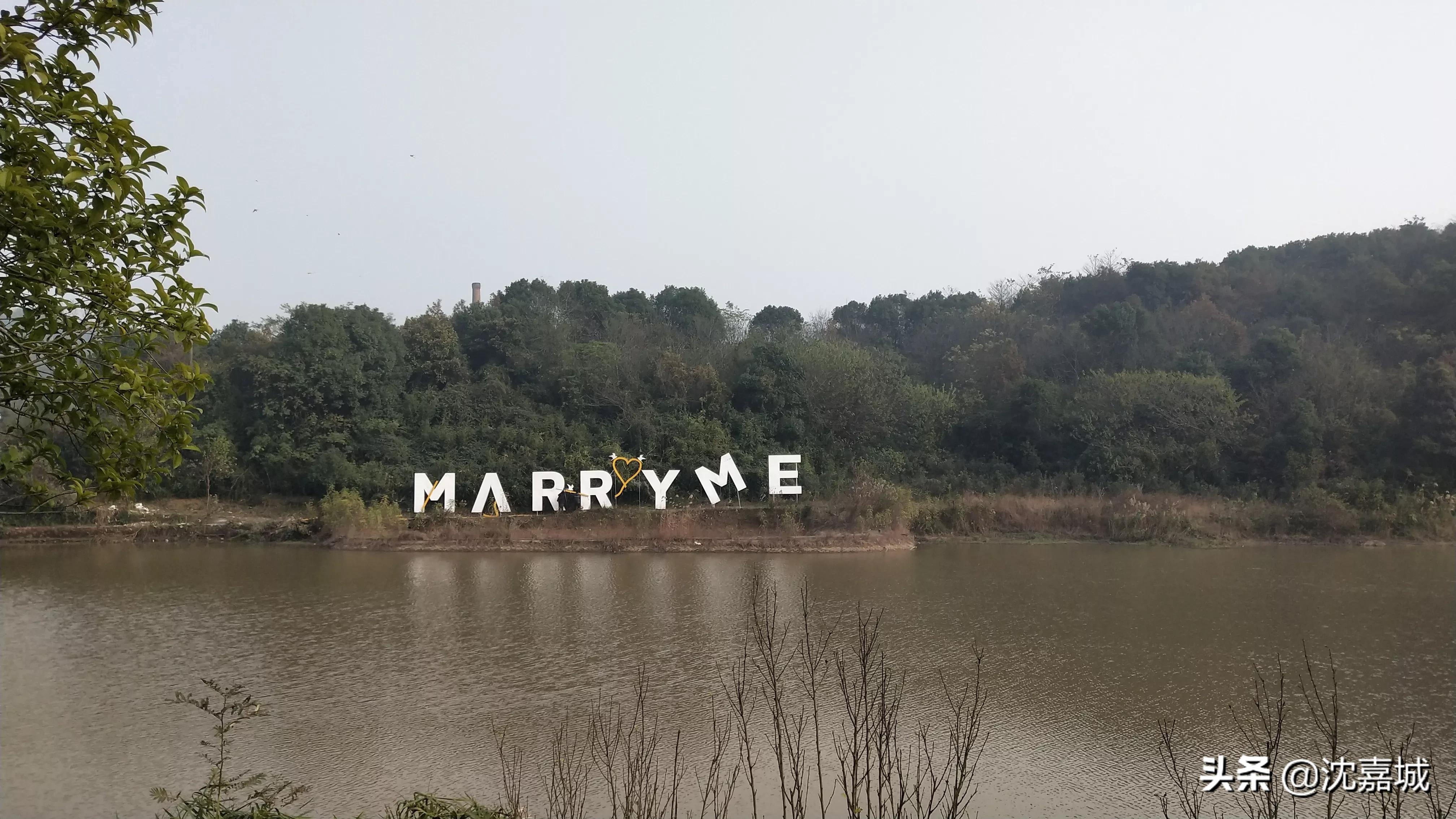 龙山公园有什么项目,岳阳龙山风景区在哪里