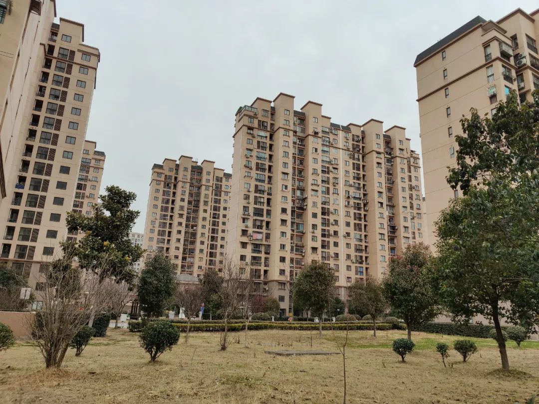 徐泾东还有潜力吗,徐泾未来发展