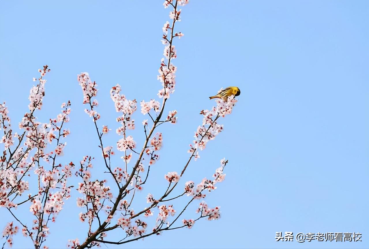 常州大学与南通大学谁强,南通大学和常州大学哪个好