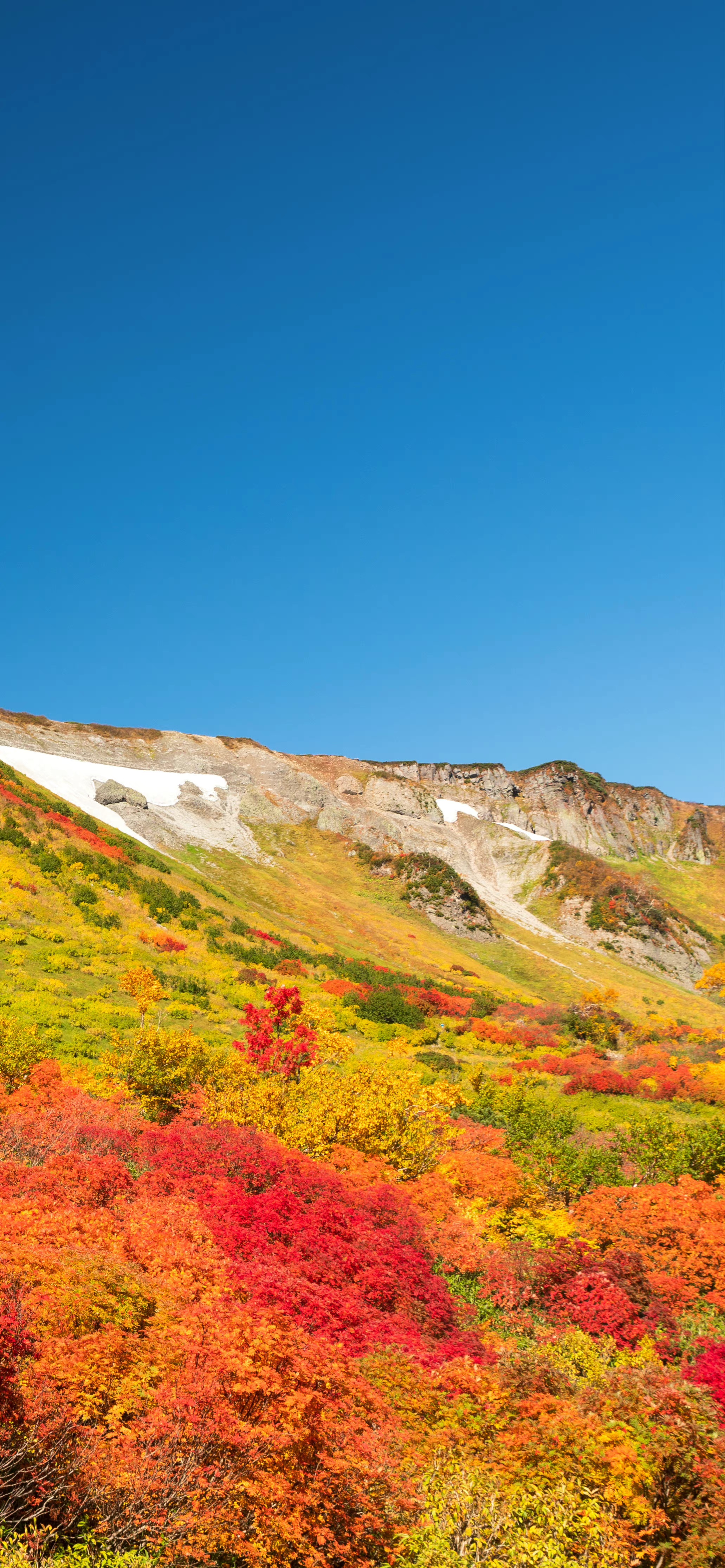 洒脱逍遥壁纸,手机壁纸自由洒脱