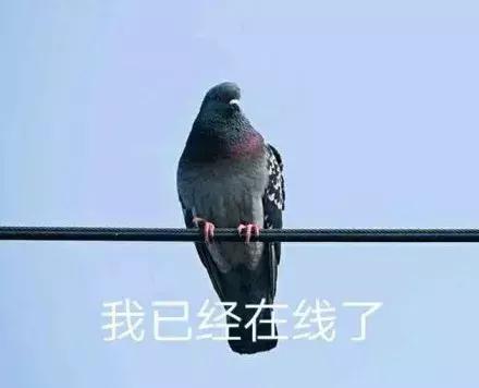 半佛仙人到底有多有钱,半佛仙人有多厉害