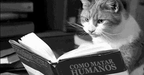 原来“shanghai”不是“上海”！别再说错啦