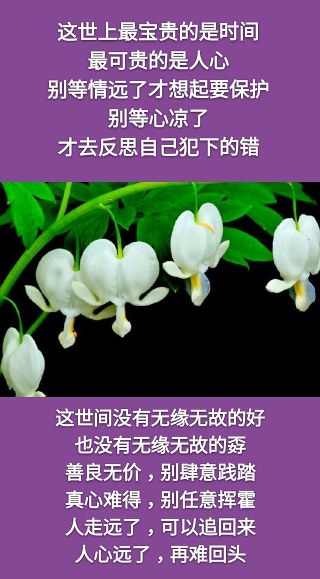知恩不报非君子之所为,知恩不报枉为人恩将仇报