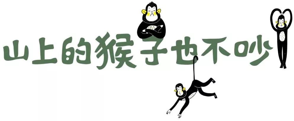 在动物园散步才是正经事|暴走福州