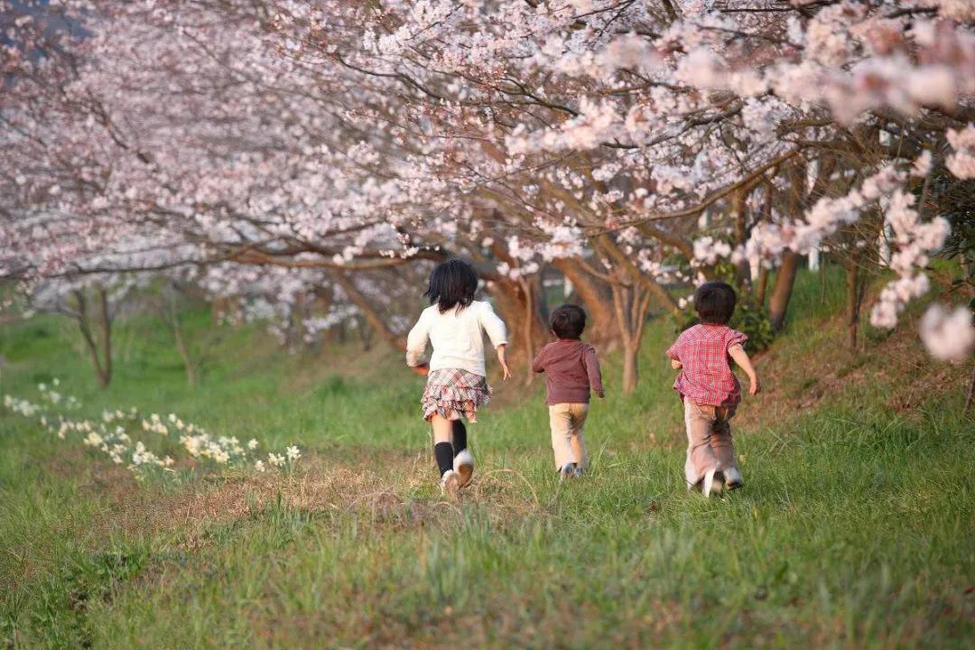 农村孩子无法跟城市孩子竞争，我的回答是：非常有可能