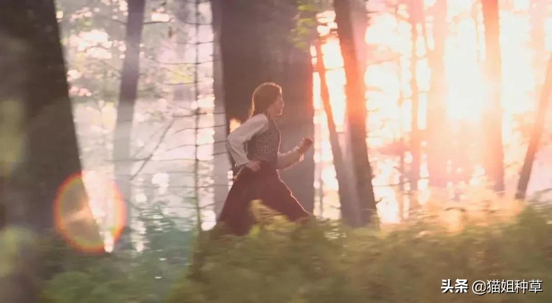 穿出奥斯卡复古名媛感,《小妇人》的设计美学超好用