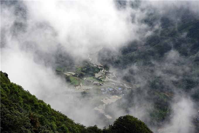 广东杜鹃花风景区最佳观赏期,清远金子山杜鹃几月份开