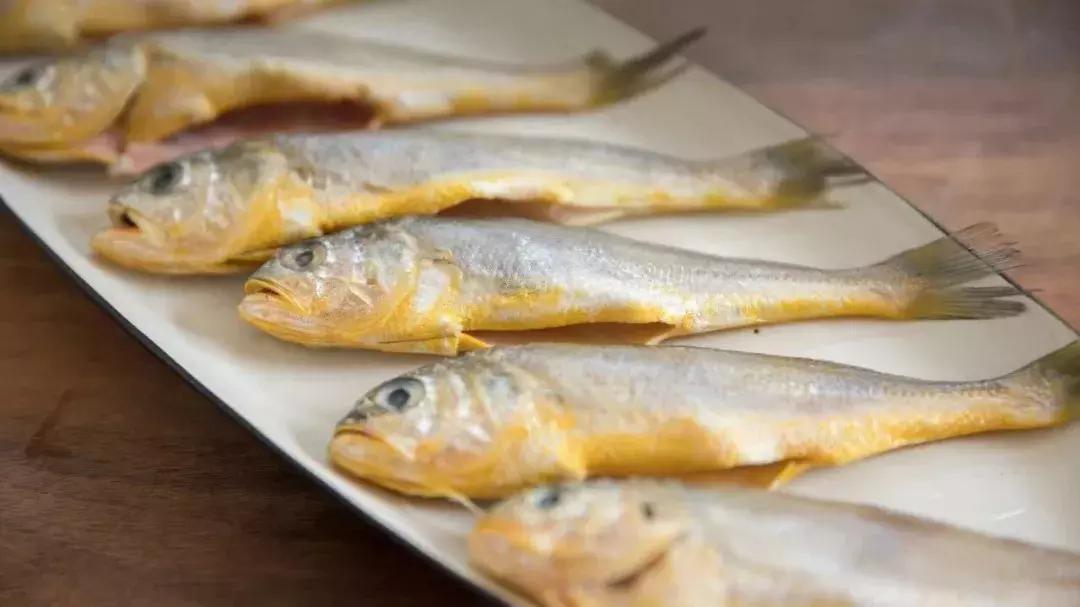 石浦渔港海鲜,石浦渔港码头海鲜