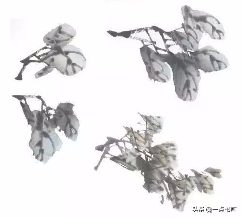 柿子公鸡写意画法,徐湛写意柿子的画法