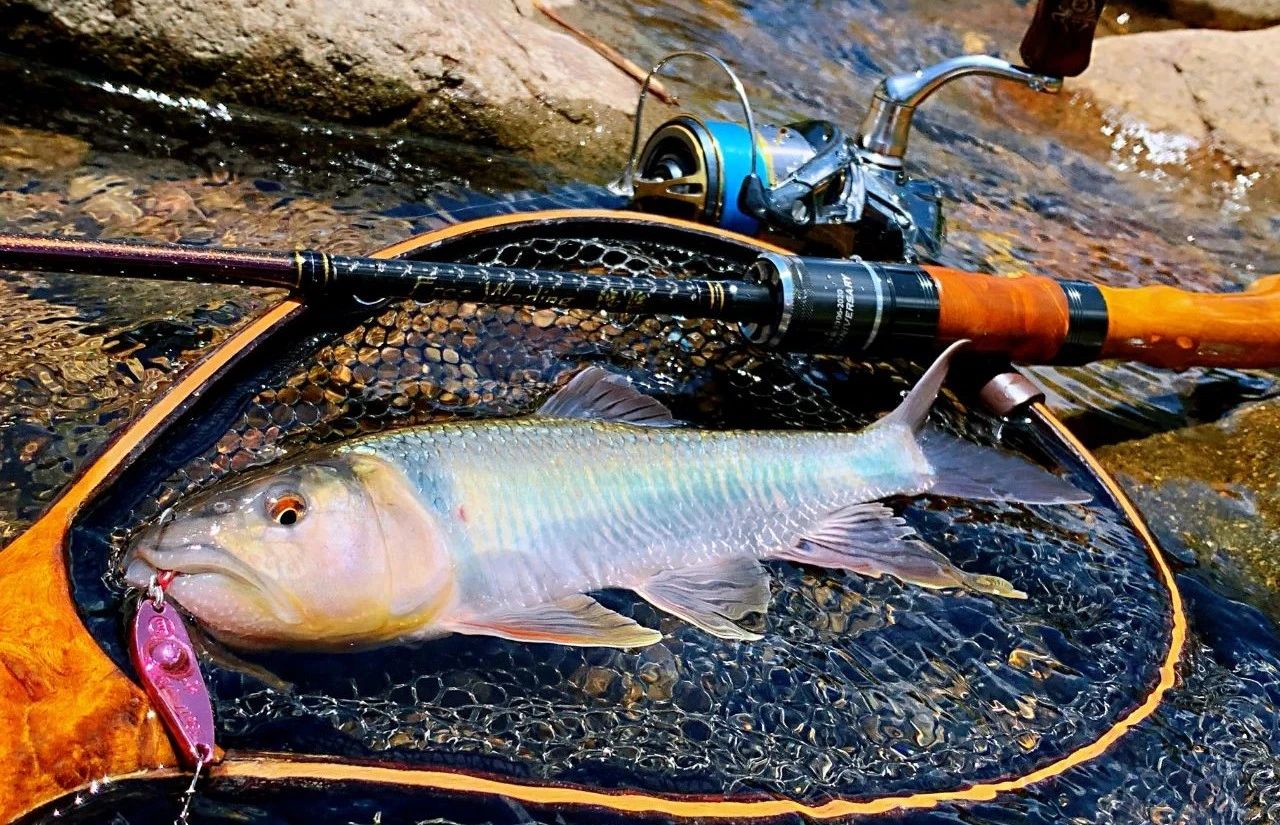 蓝微物,蓝溪微物