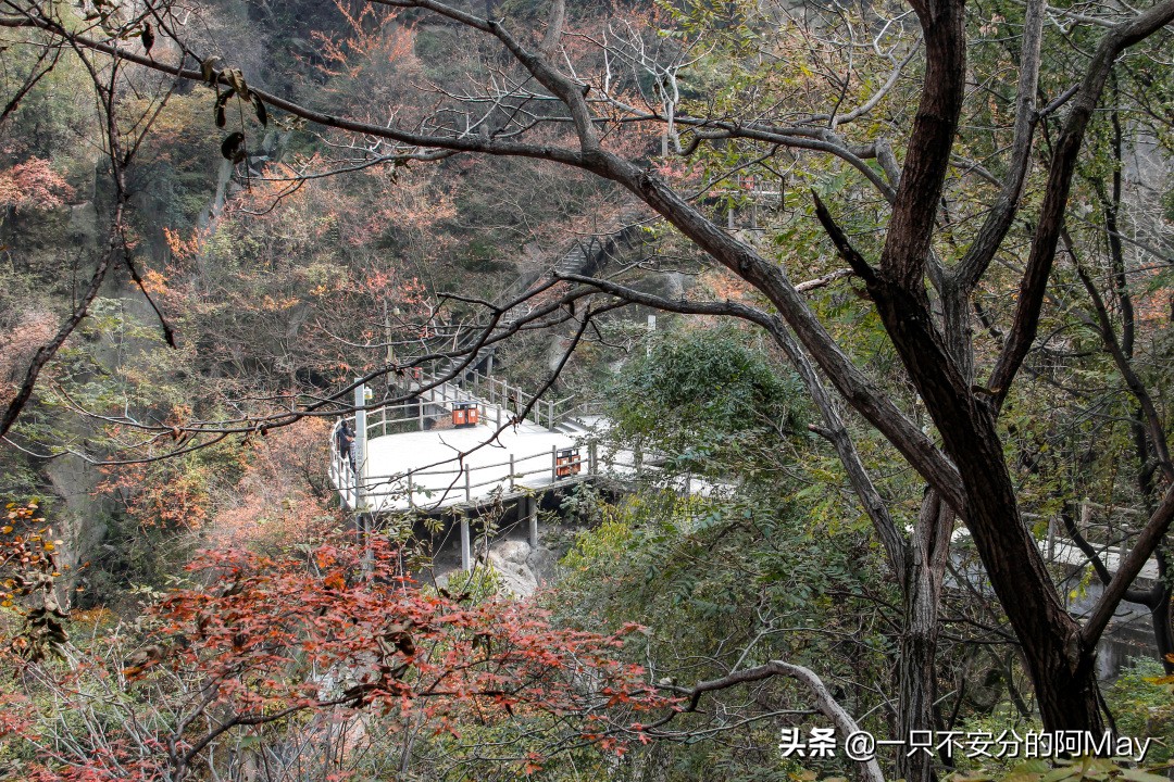 为什么爬华山都是夜爬,华山自古一条道很有必要爬吗