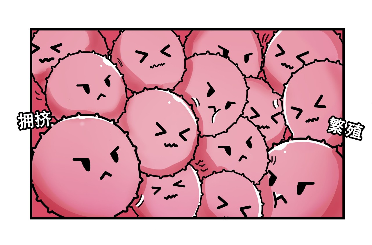 梅雨季节皮肤痒,梅雨季节外阴瘙痒解决方法