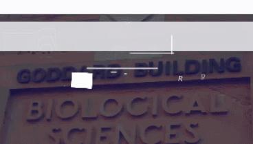 澳洲最好吃的食物排名,澳洲人最爱吃什么食物