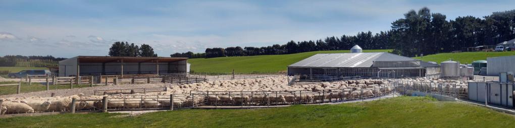 羊奶粉婴儿奶粉好吸收吗,宝宝喝的奶粉测评